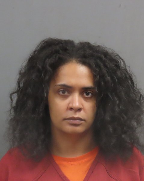 Mugshot of DESMARIE ELLES WILLIAMS