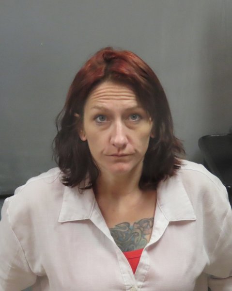 Mugshot of ELIZABETH NICOLE BROWN