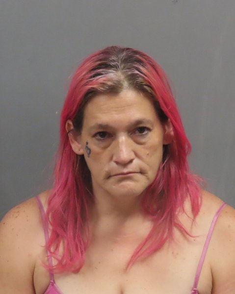 Mugshot of STACY A RUEGG