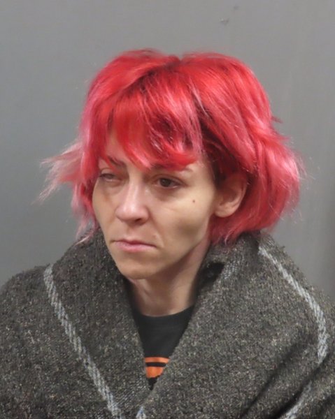 Mugshot of MAGDALENA CHERRIER STOUT