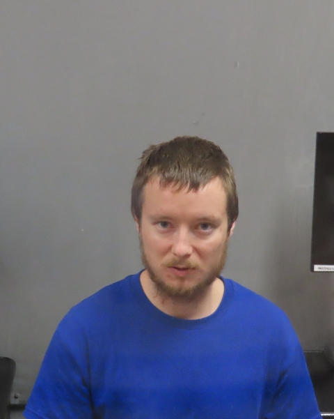 Mugshot of TAYLOR MICHAEL HENDRICKSON