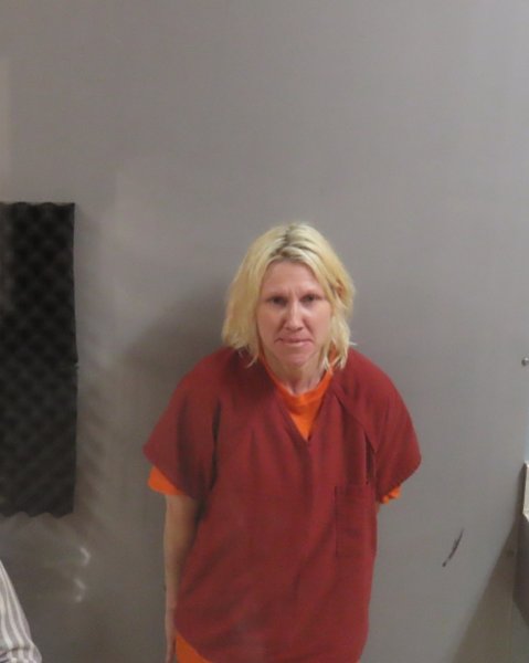 Mugshot of TARA DANIELLE TEHANDON