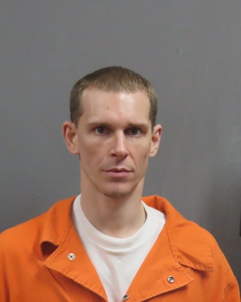 Mugshot of DILLON COLE SWEARINGIN
