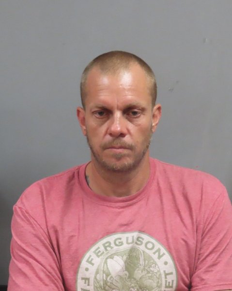 Mugshot of JESSIE LEE SANDQUIST