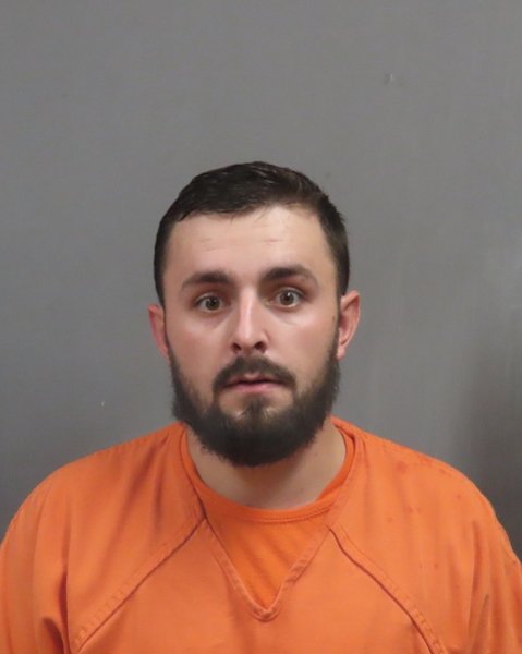 Mugshot of CAMERON WALTERS