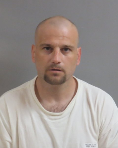 Mugshot of TRAVIS WALLACE