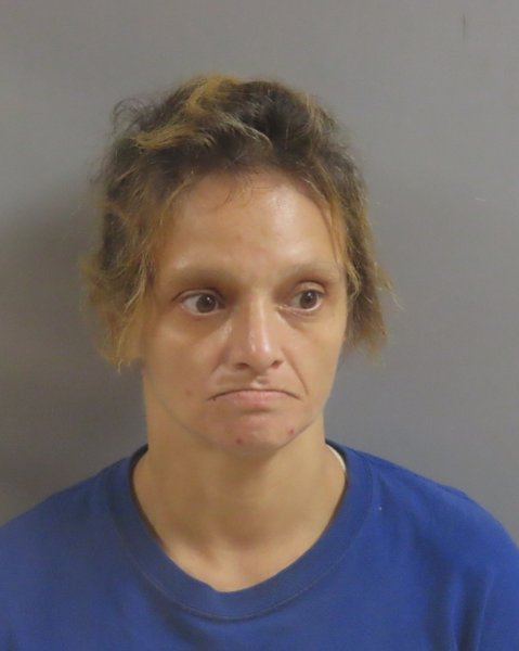 Mugshot of DYANNA TOLIE