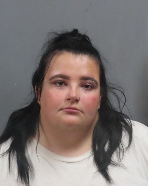 Mugshot of ASHLYNN NICKOLE KOZLOSKI