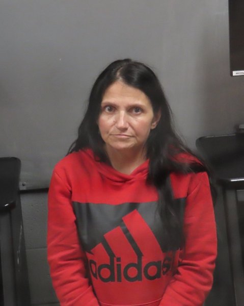 Mugshot of RHONDA BOYER