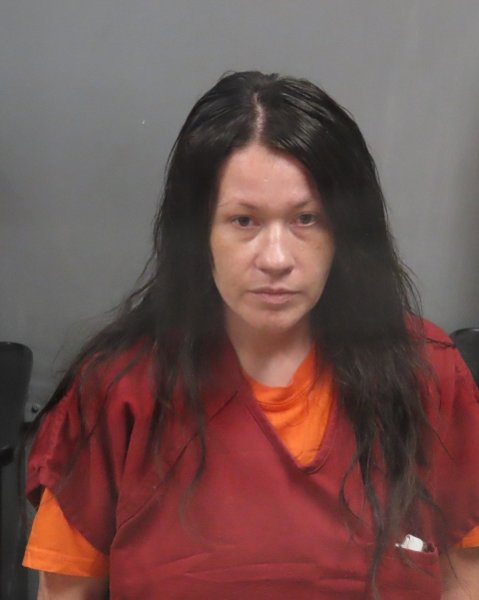 Mugshot of ASHLEY FITZGERALD