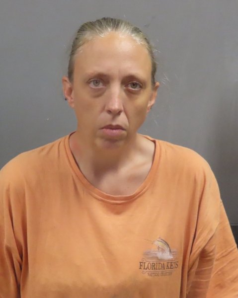 Mugshot of EMILY D MITTLER