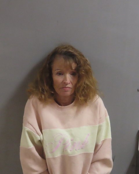 Mugshot of DONNA COLE