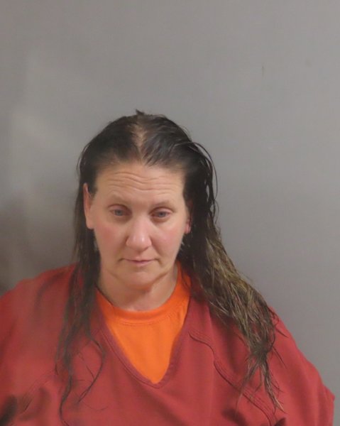 Mugshot of AMY CHAMBERLAIN