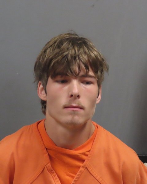 Mugshot of MICHAEL ESPN VOORHEES
