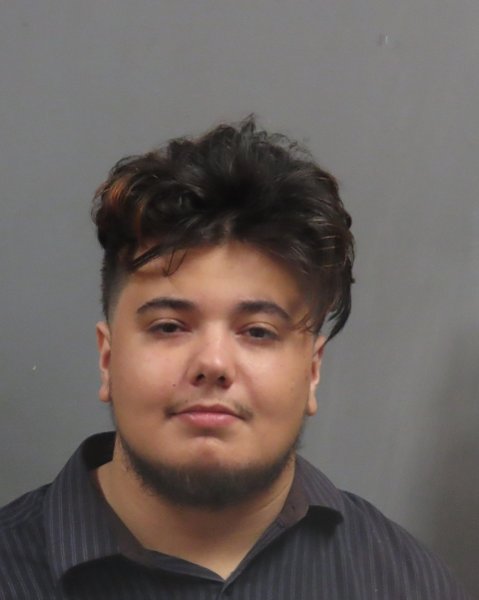 Mugshot of ELIAS TORRES