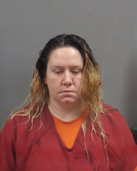 Mugshot of SARA WEBER