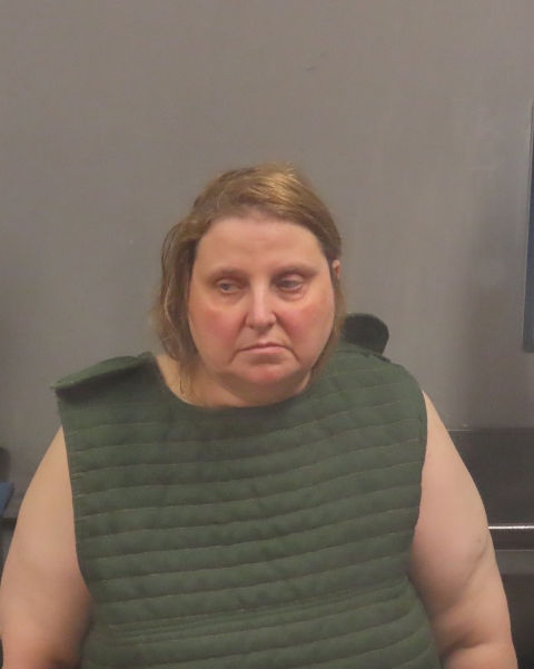 Mugshot of LISA ALBRECHT