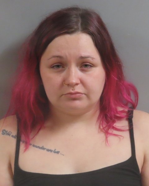Mugshot of ALLISON TOOLOOZE