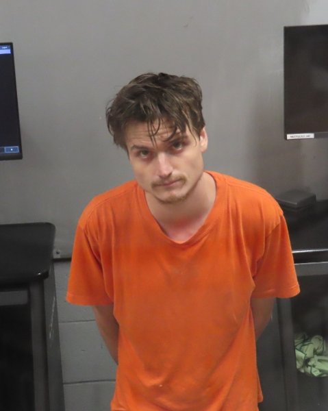 Mugshot of PAUL 3 FEARS