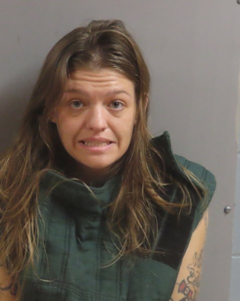 Mugshot of ASHLEY KAY SHELTON