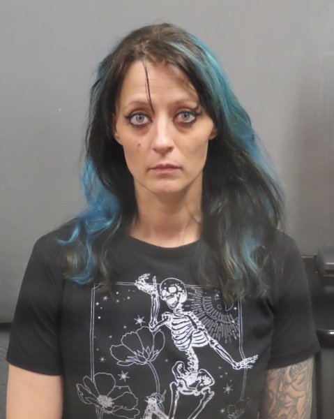 Mugshot of AMANDA M COLE