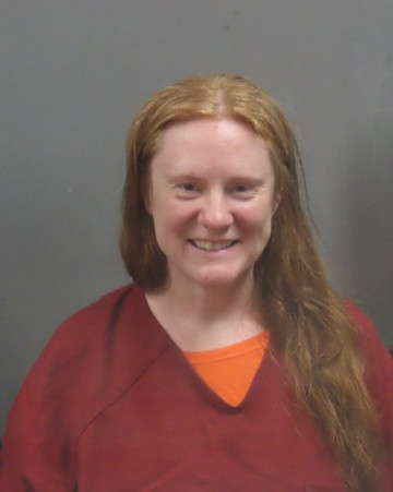 Mugshot of RYAN ELIZABETH SHEA