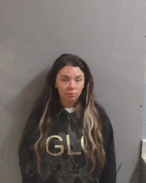 Mugshot of ALLISON HECK