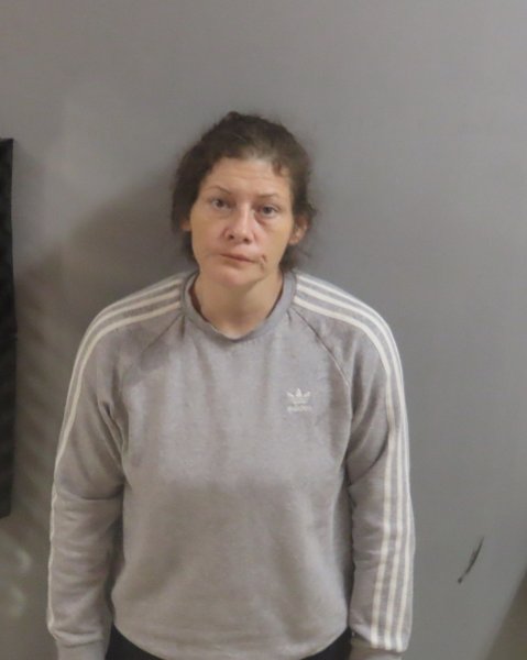 Mugshot of JILLIAN MIDDLETON