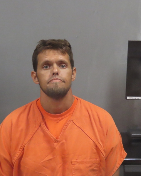 Mugshot of ANTHONY COLE