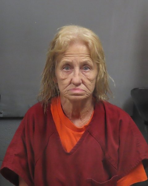 Mugshot of KAREN ELAINE HAWKES