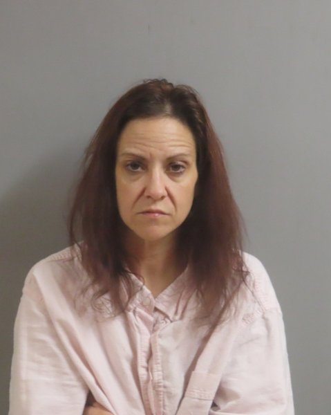 Mugshot of LINDA CARVER