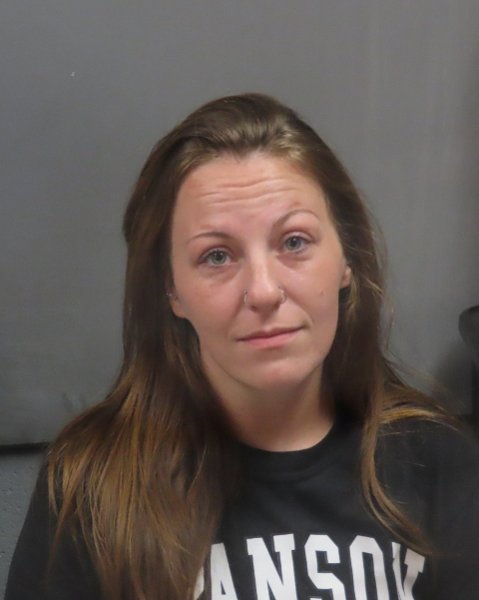 Mugshot of NICOLE DAWN HARTZELL