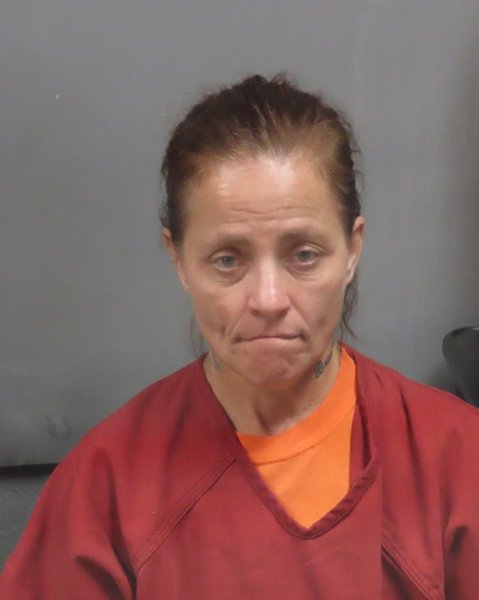 Mugshot of JAIME WELLS