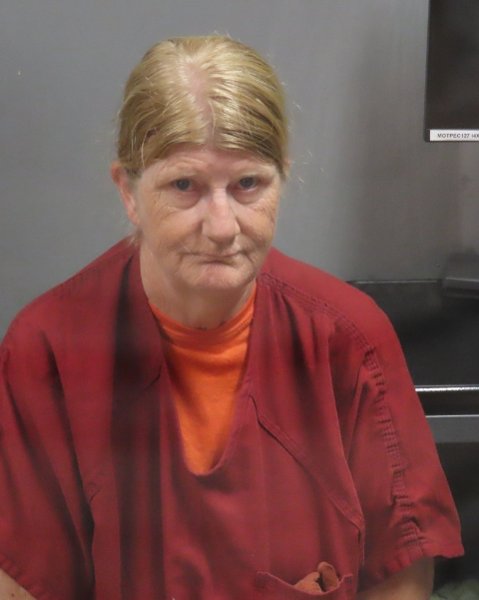 Mugshot of THERESA CHARLENE MIEDERHOFF