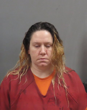 Mugshot of SARA WEBER