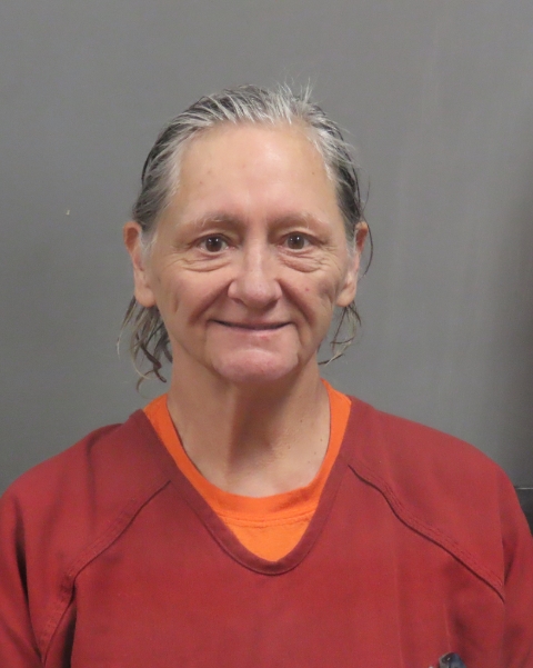 Mugshot of TAMMY LYNN ROBERTS