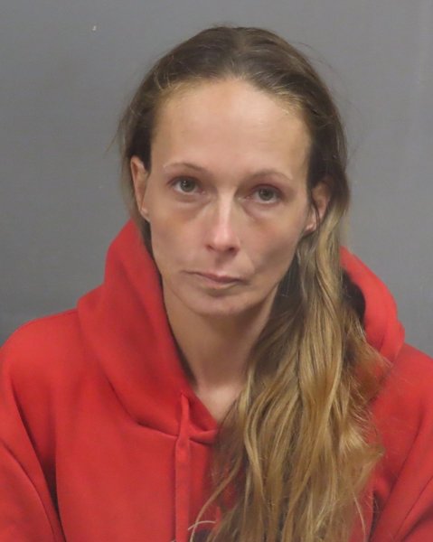 Mugshot of LESLEY NICOLE SHAW
