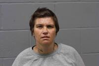 Mugshot of ELIZABETH ANN MICHAUD