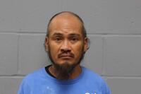 Mugshot of IROICHY W RODRIGUES