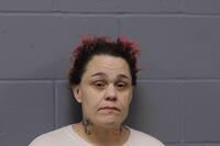 Mugshot of DANIELLE JO SCHWAGER
