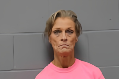 Mugshot of LORI ANN DAVIS