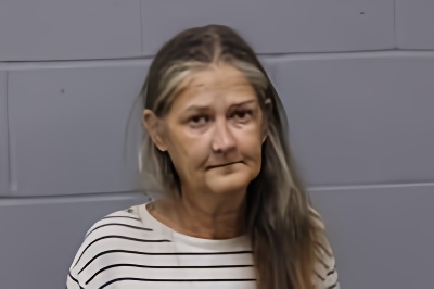 Mugshot of MEIKA ANN BRYSON