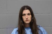 Mugshot of HAILEY ALYSSA HENDRIX