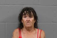 Mugshot of AMY L PICOLET