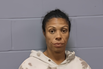 Mugshot of MEISHCA DAWN WILSON