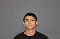 Mugshot of TRENTON LIGGETT