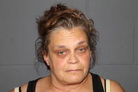 Mugshot of DANA YOUNT
