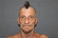 Mugshot of DALE SOOLE