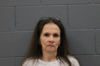 Mugshot of GEORGIA CLINTON