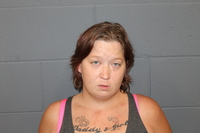 Mugshot of CHELSEY MISENER